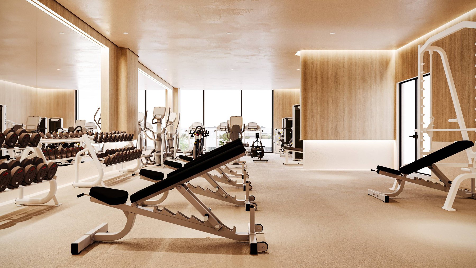 The gym